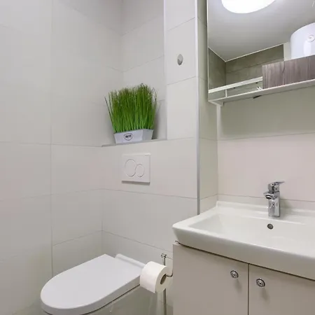 Beach With Large Terrace 50m From The Beach Apartment Pjescana Uvala